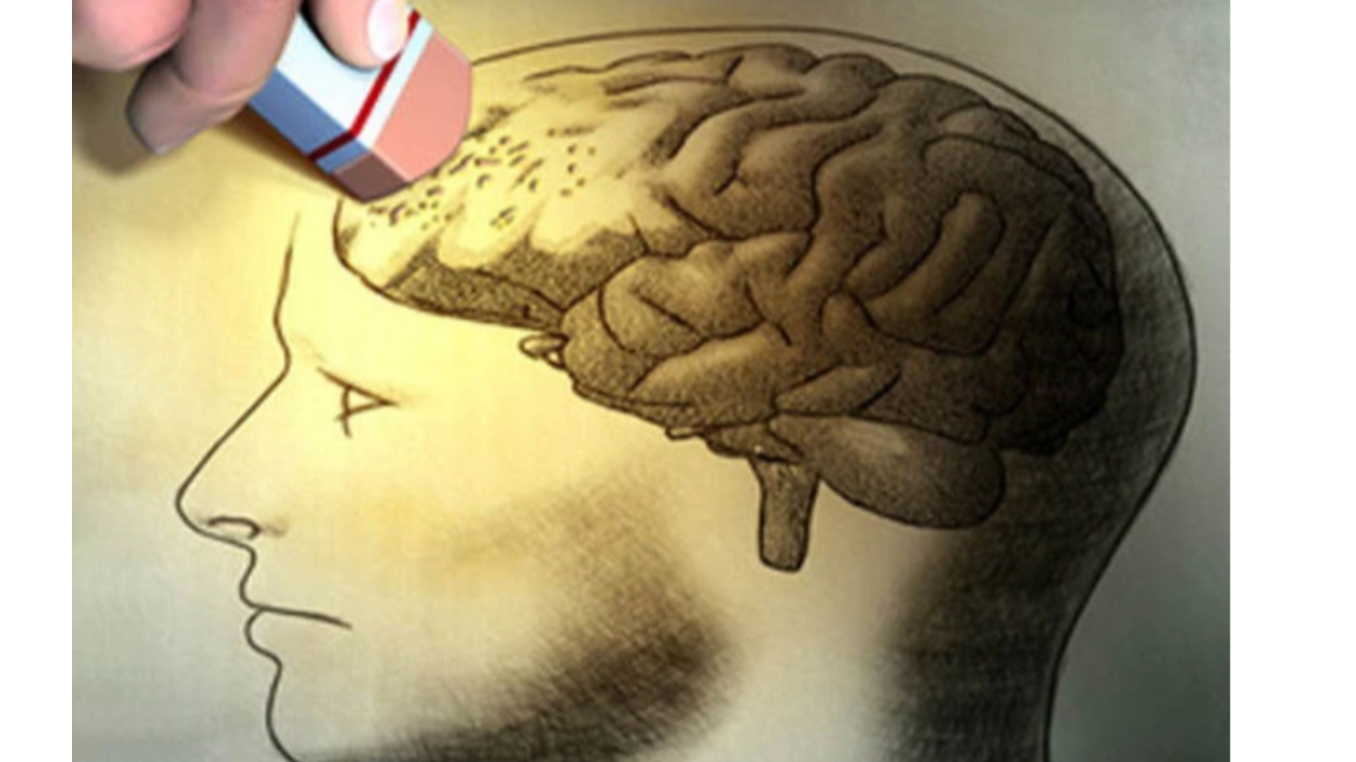 Документальный фильм «No crosswords will help»